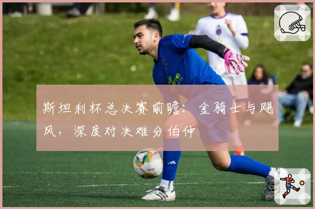 斯坦利杯总决赛前瞻:金骑士与飓风,深度对决难分伯仲