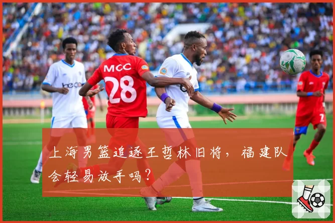 上海男篮追逐王哲林旧将,福建队会轻易放手吗?