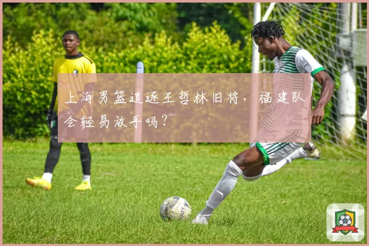 上海男篮追逐王哲林旧将,福建队会轻易放手吗?